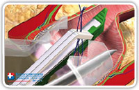 The diagnostic phase