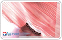 The diagnostic phase