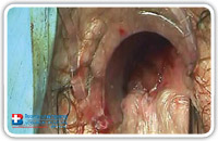 The diagnostic phase