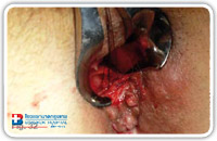 The diagnostic phase