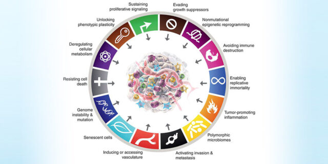 The Hallmarks of Cancer and the Rationale for Targeted Therapy and Immunotherapy