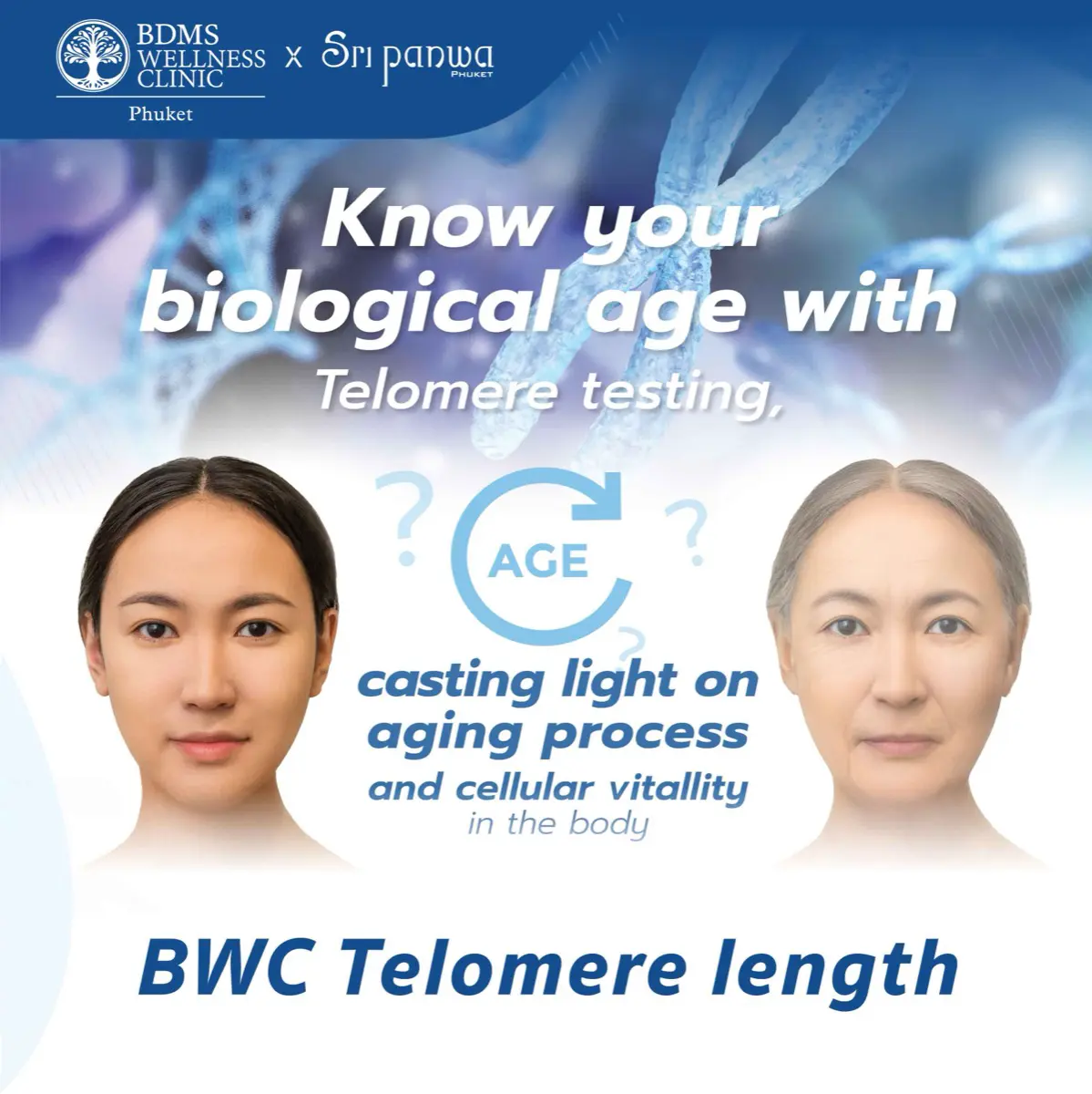 BWC Telomere length
