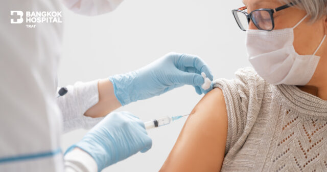 วัคซีนไข้หวัดใหญ่ (Influenza Vaccine) Image