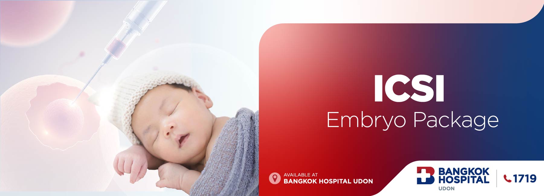 试管婴儿套餐(ICSI 单精子显微注射)