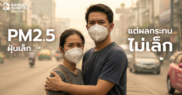 PM2.5 ฝุ่นเล็ก…แต่ผลกระทบไม่เล็ก Image