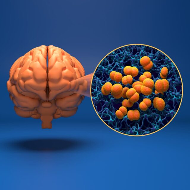 Meningitis (Meningococcal) Vaccine Package for Adults