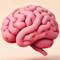 Brain Checkup Packages