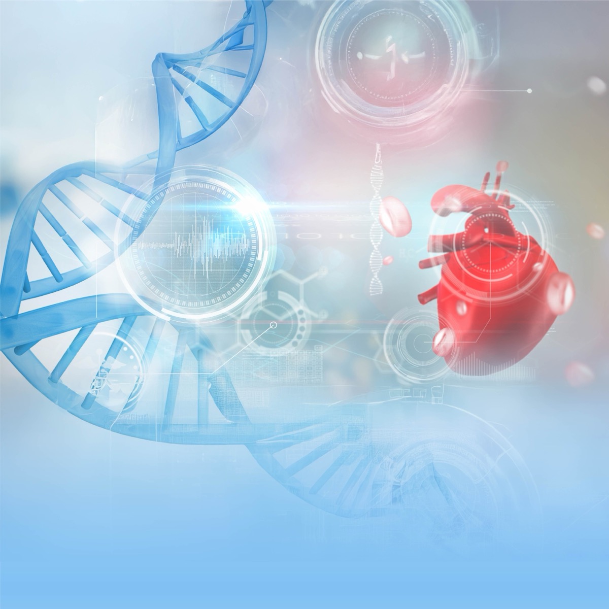 Heart Risk Screening