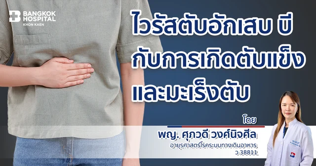 ไวรัสตับอักเสบ บี ( Hepatitis B) กับการเกิดตับแข็งและมะเร็งตับ Image