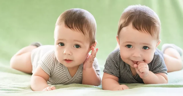 การตั้งครรภ์แฝด (Multifetal Pregnancy)