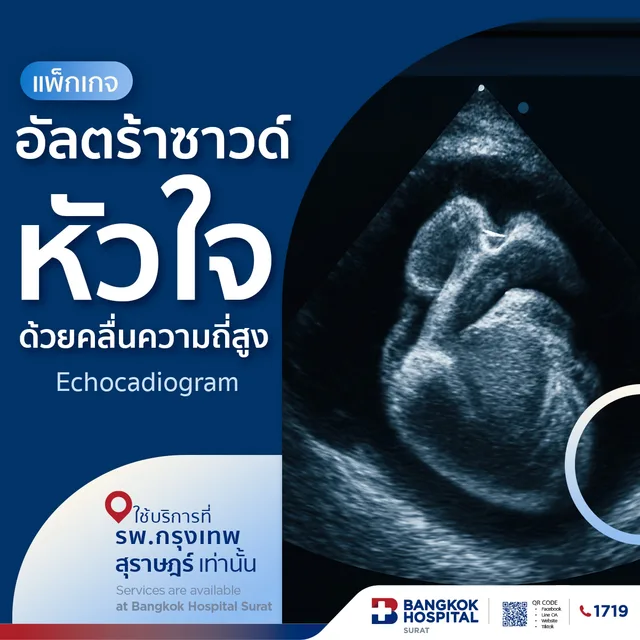แพ็กเกจตรวจการตีบตันของหลอดเลือดแดงที่คอ 