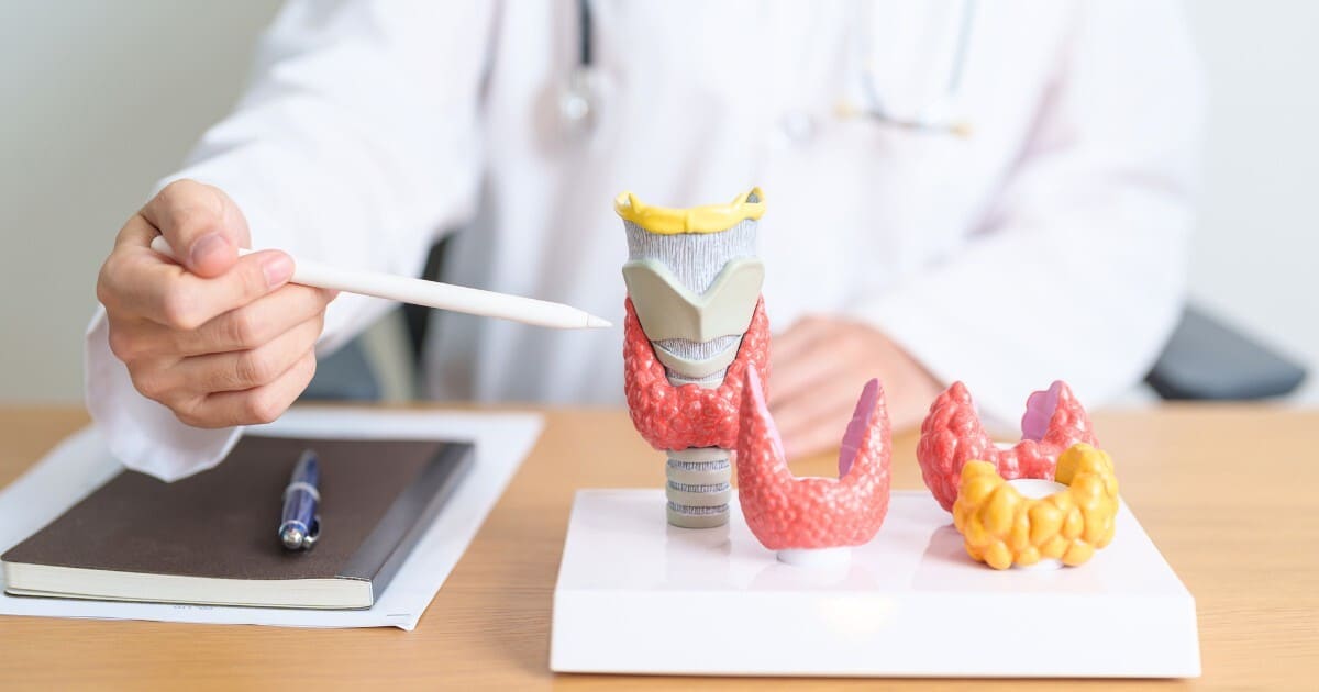 Who is thyroid ultrasound suitable for