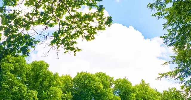 Care for the Earth, Care for Life