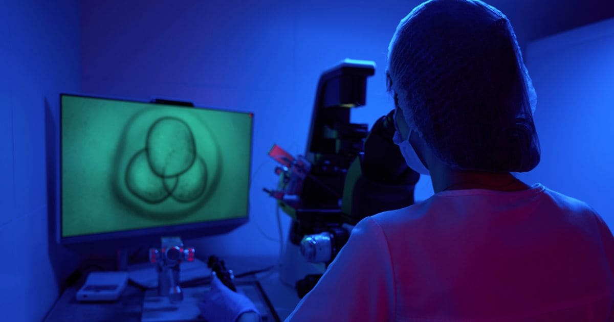 What is egg freezing before chemotherapy and radiation?