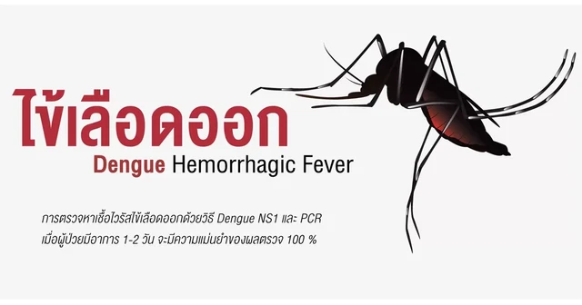 ไข้เลือดออกเชื้อไวรัสแดงกี (Dengue Hemorrhagic Fever)