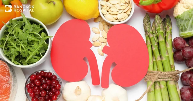 เป็นนิ่วในไตห้ามกินอะไร พาเข้าใจชนิดของนิ่วและอาหารที่ควรเลี่ยง Image