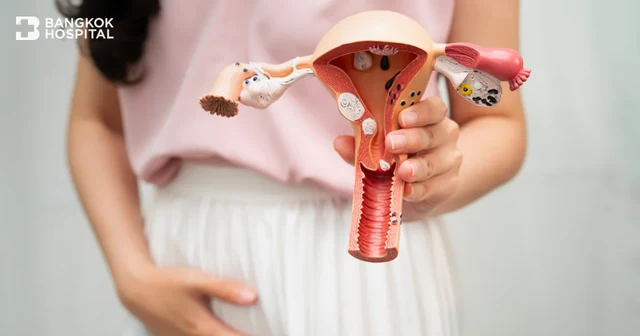 A Guide to Anteverted Uterus: What Is It? Does It Affect Fertility? Image